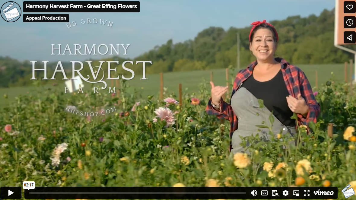 Customer Marketing: Harmony Harvest Farm